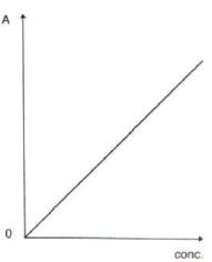 grafico retta assorbanza rispetto concentrazione